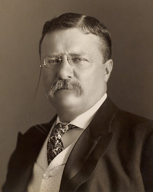 Teddy Roosevelt